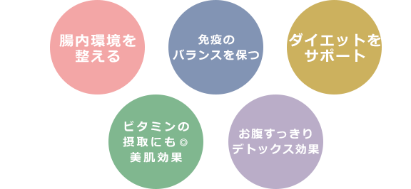 腸内環境を整える免疫のバランスを保つダイエットをサポートビタミンの摂取にも美肌効果お腹すっきりデトックス効果