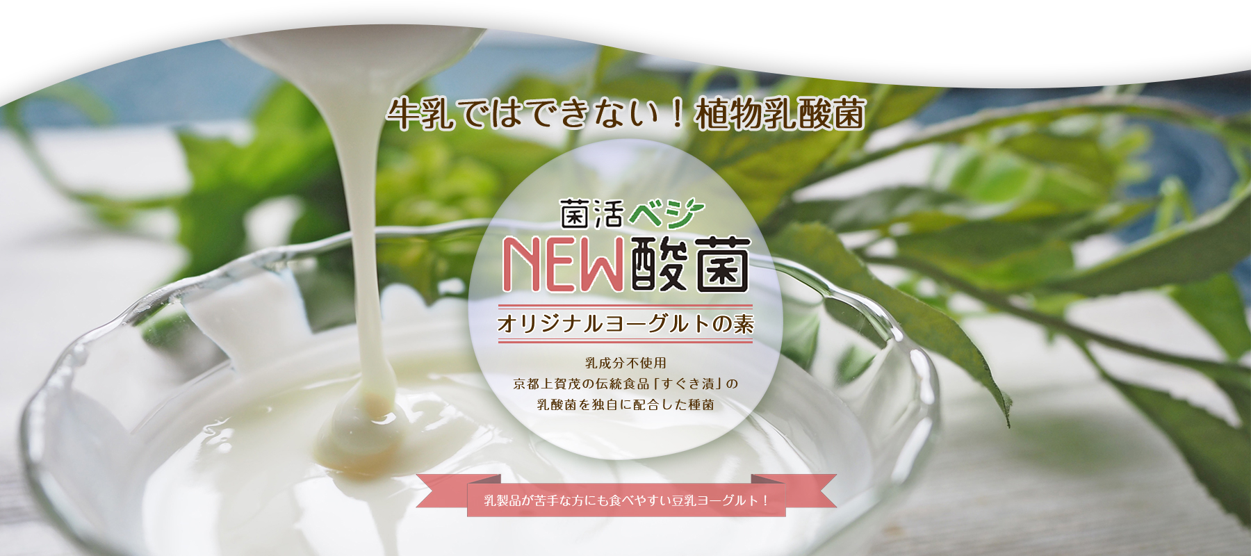 牛乳ではできない！祝物乳酸菌