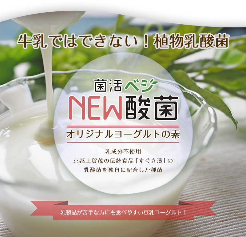 牛乳ではできない！祝物乳酸菌