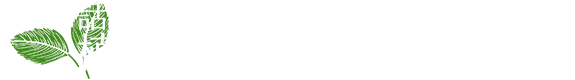 話題の植物乳酸菌を使用
