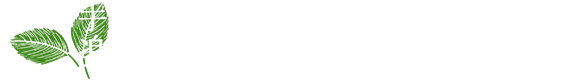 手作りだから楽しい、安心、美味しい