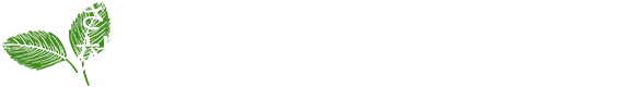 さまざまな効果が期待できます